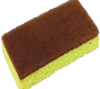 WSS20 Walnut® Sponge N Scrubber